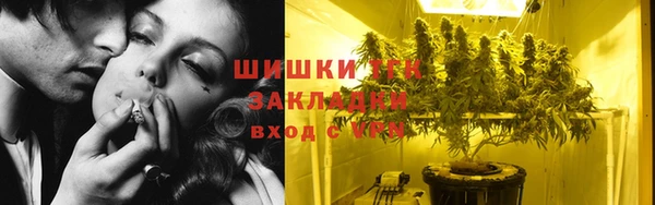 амф Козельск