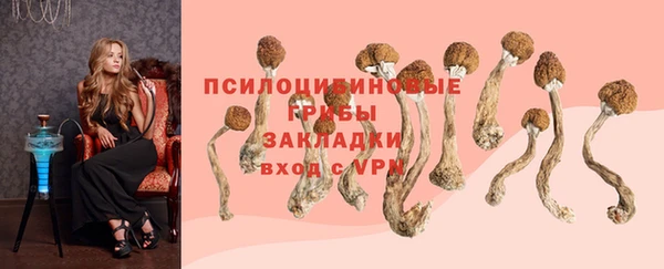 mdma Козловка