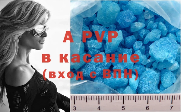 ГАЛЛЮЦИНОГЕННЫЕ ГРИБЫ Киренск