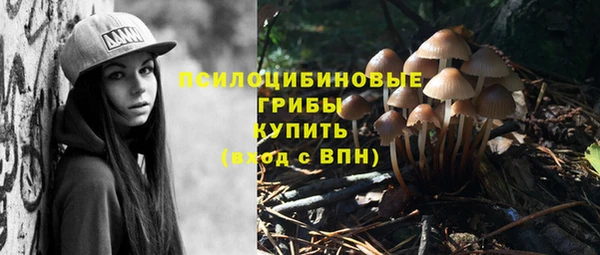 амф Козельск