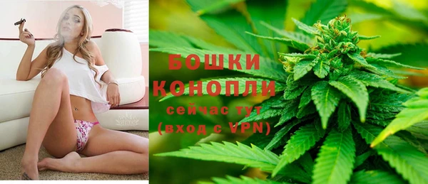 apvp Карпинск