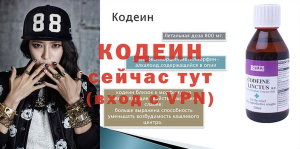 амф Козельск